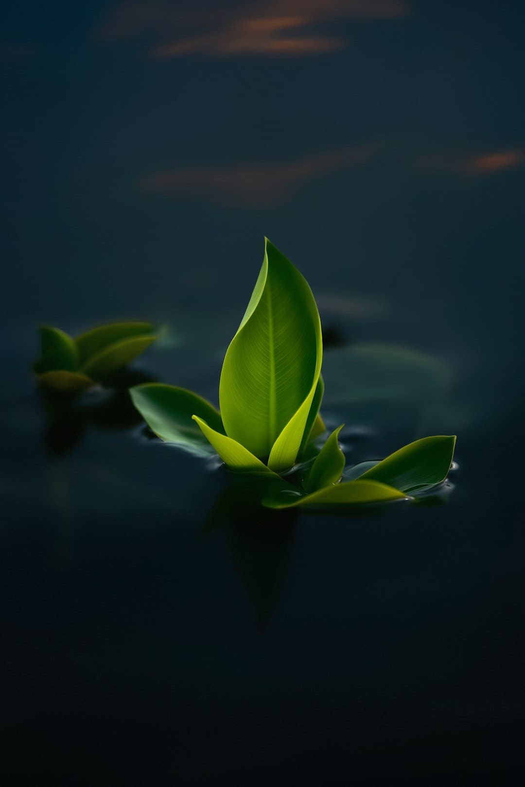 谁是孔门最可爱的弟子